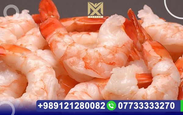 Shrimp Export